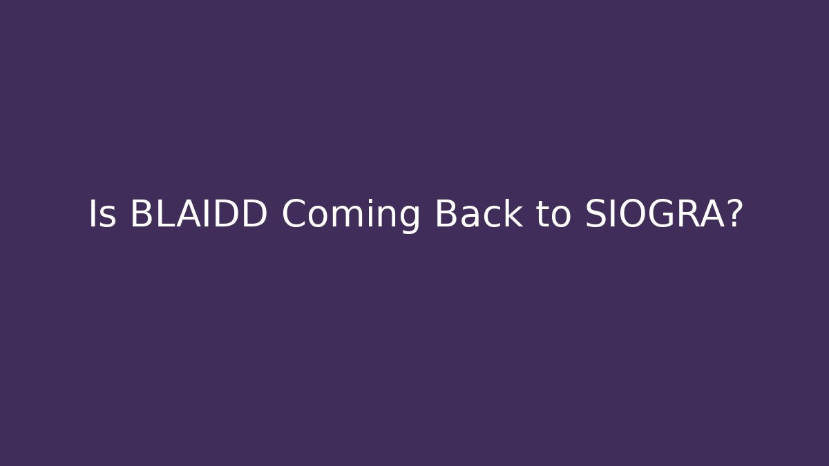 Is BLAIDD Coming Back to SIOGRA? - Create More Assets
