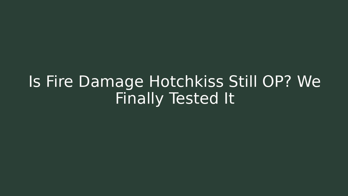 Is Fire Damage Hotchkiss Still OP? We Finally Tested It