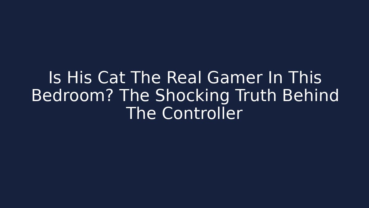 Is His Cat The Real Gamer In This Bedroom? The Shocking Truth Behind The Controller