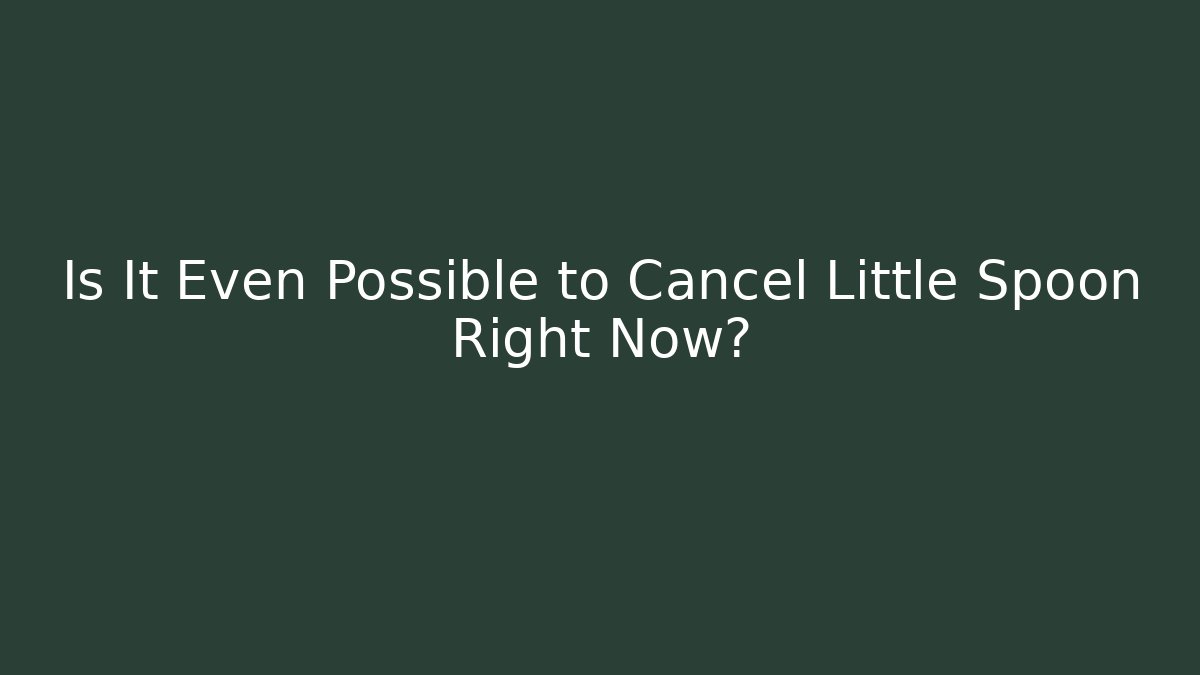 Is It Even Possible to Cancel Little Spoon Right Now? - Create More Assets