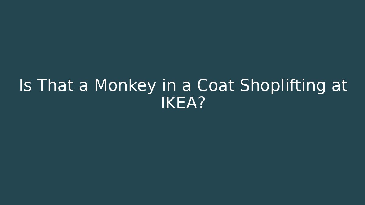 Is That a Monkey in a Coat Shoplifting at IKEA?