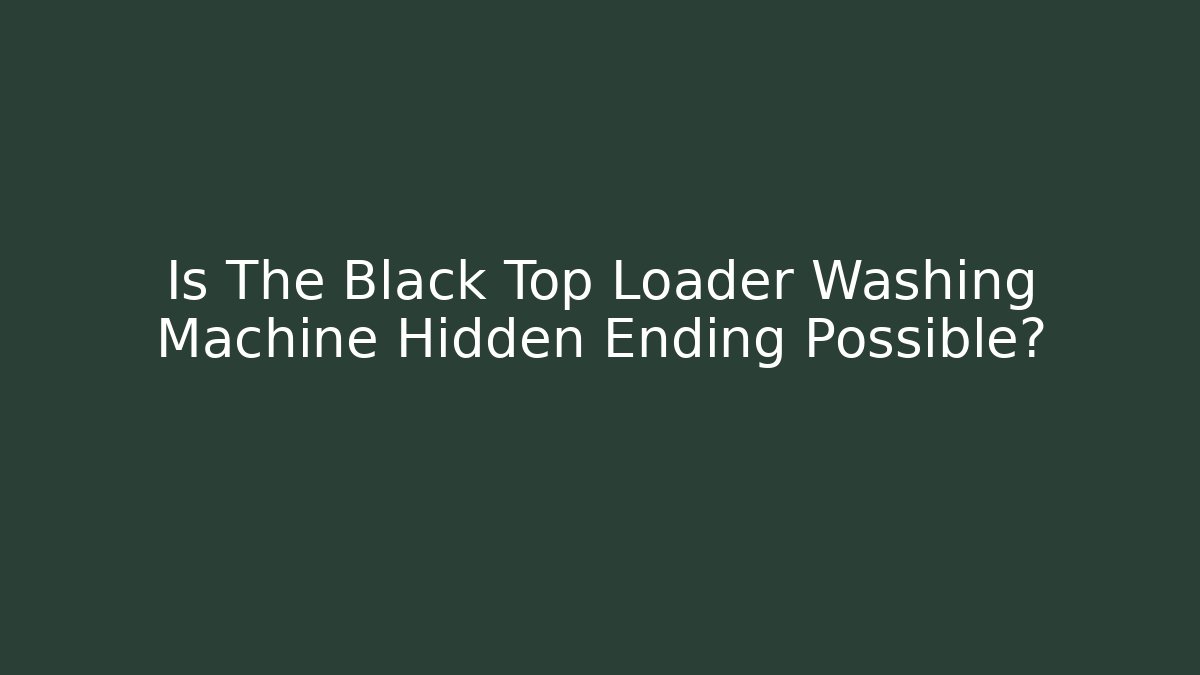 Is The Black Top Loader Washing Machine Hidden Ending Possible?