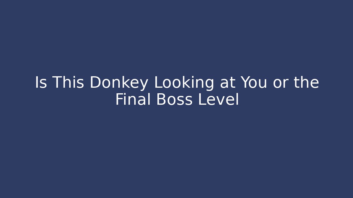 Is This Donkey Looking at You or the Final Boss Level