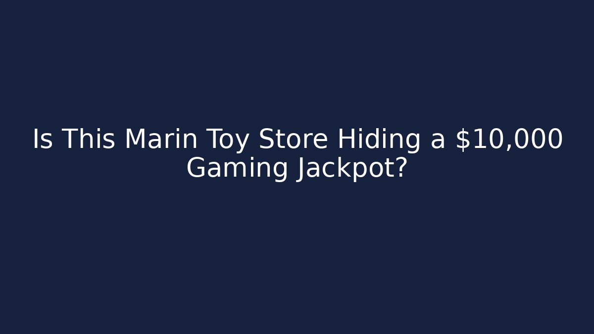 Is This Marin Toy Store Hiding a $10,000 Gaming Jackpot?
