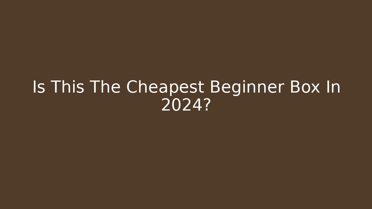 Is This The Cheapest Beginner Box In 2024? - Create More Assets