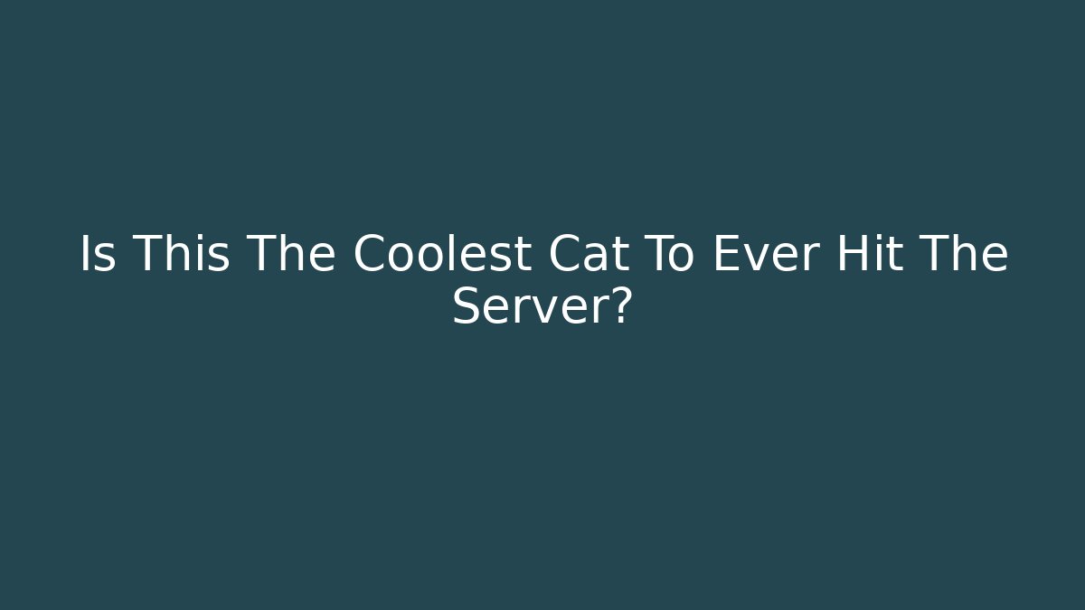 Is This The Coolest Cat To Ever Hit The Server?