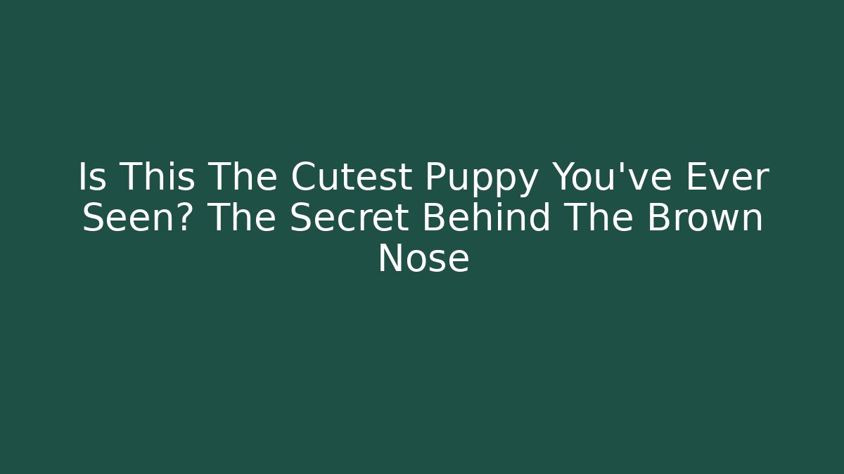 Is This The Cutest Puppy You've Ever Seen? The Secret Behind The Brown Nose