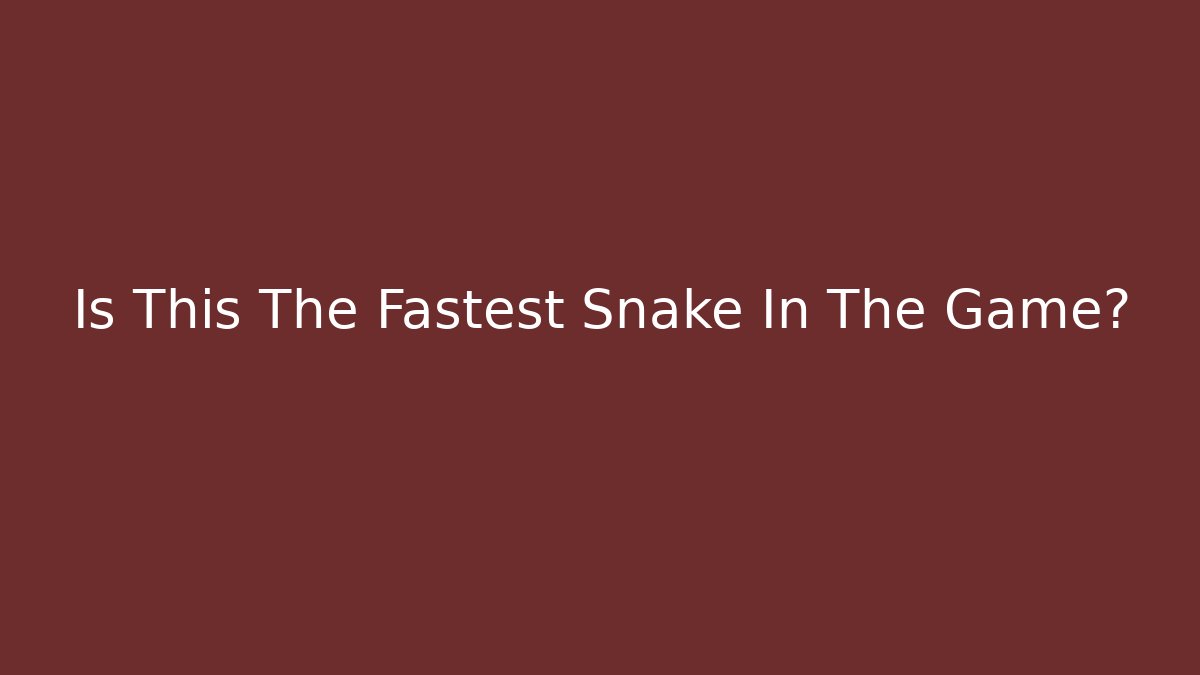 Is This The Fastest Snake In The Game?
