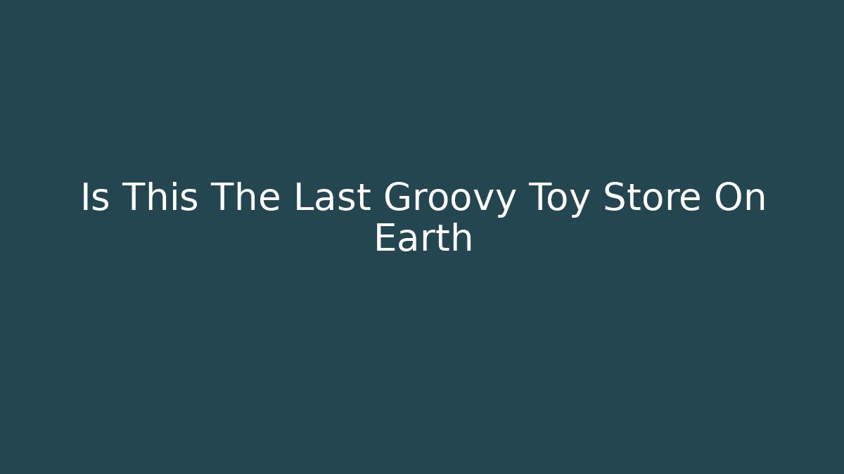 Is This The Last Groovy Toy Store On Earth