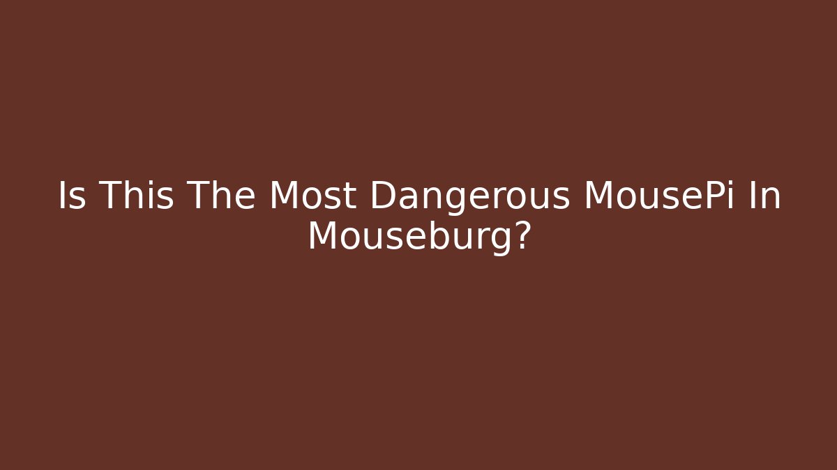 Is This The Most Dangerous MousePi In Mouseburg?