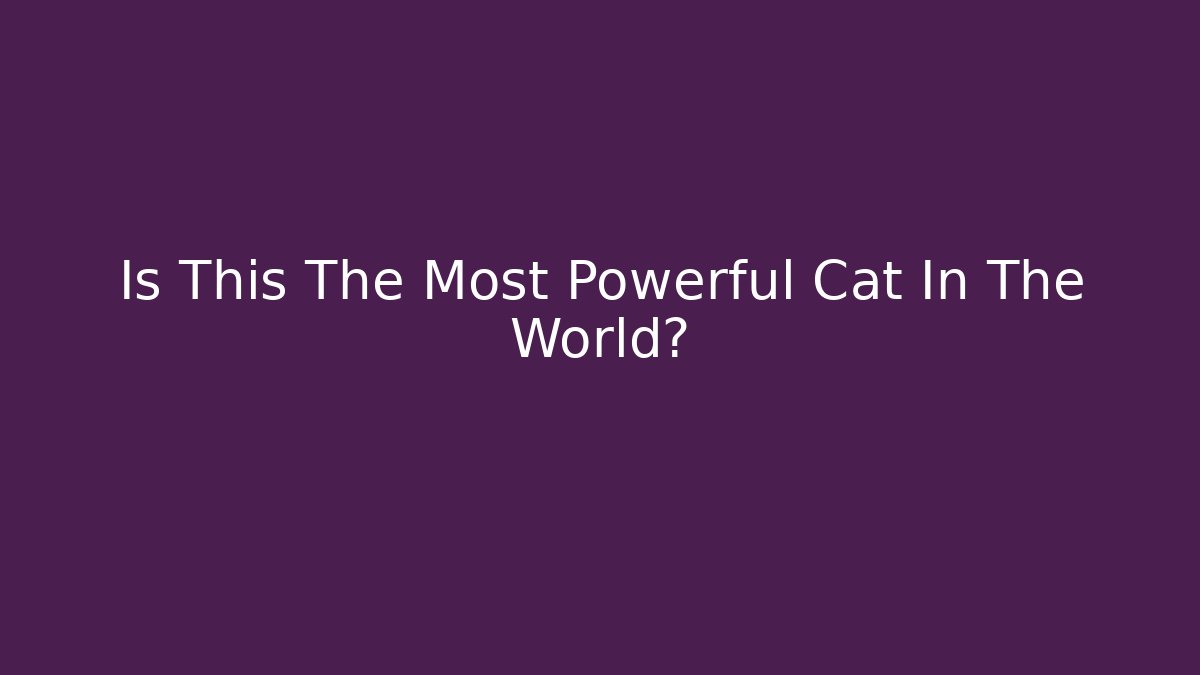 Is This The Most Powerful Cat In The World? - Create More Assets