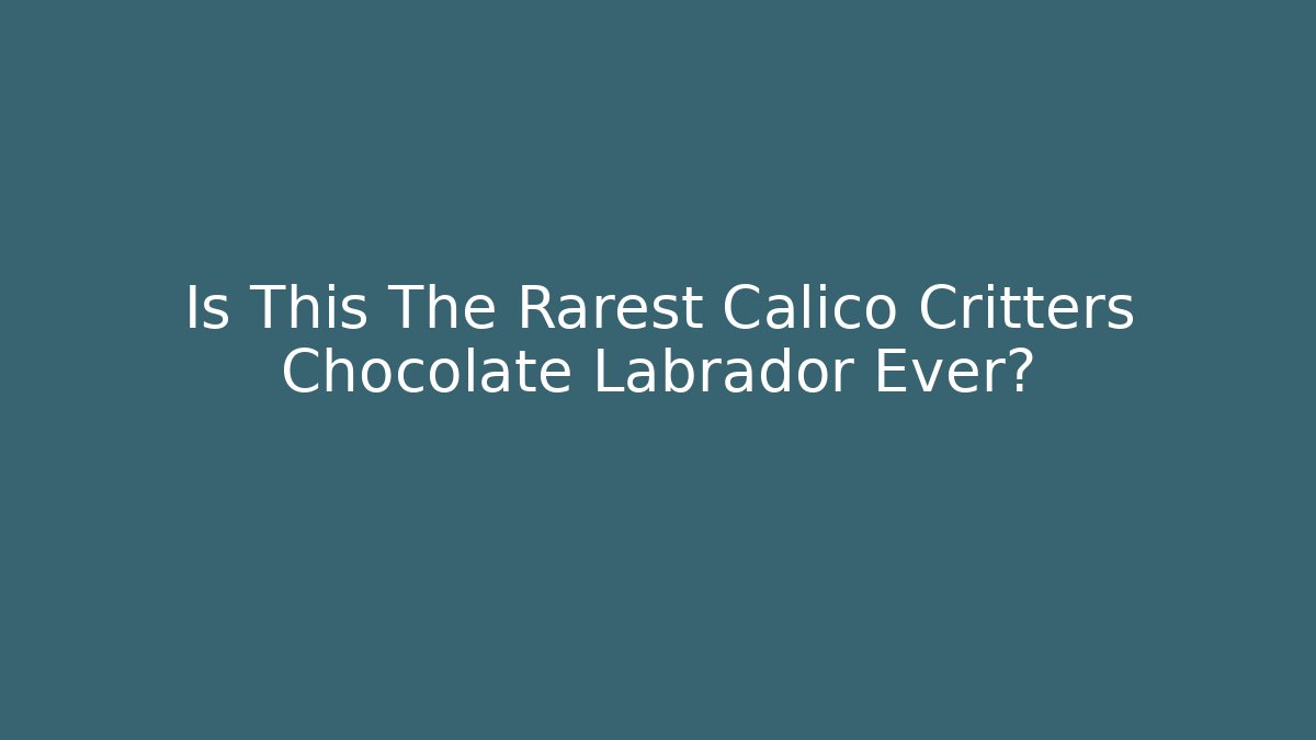 Is This The Rarest Calico Critters Chocolate Labrador Ever?