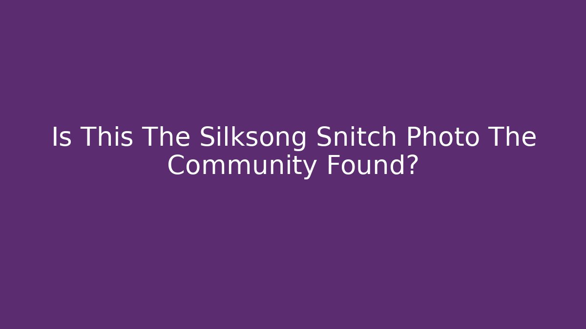 Is This The Silksong Snitch Photo The Community Found?