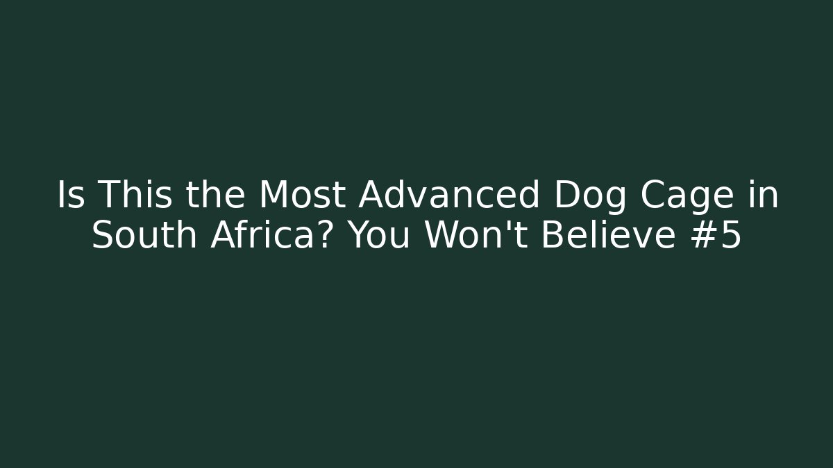 Is This the Most Advanced Dog Cage in South Africa? You Won't Believe #5
