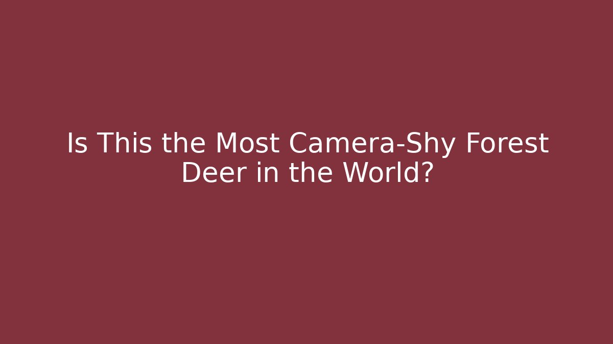Is This the Most Camera-Shy Forest Deer in the World?