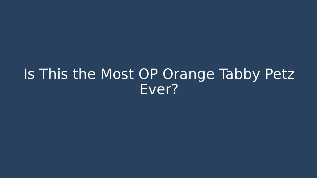 Is This the Most OP Orange Tabby Petz Ever?