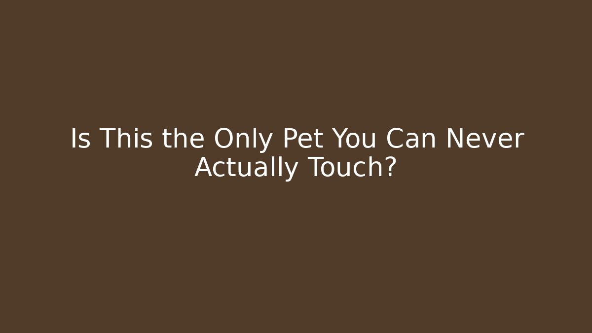 Is This the Only Pet You Can Never Actually Touch?