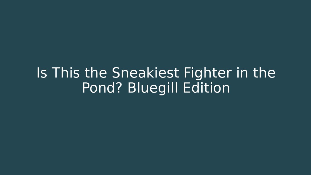 Is This the Sneakiest Fighter in the Pond? Bluegill Edition