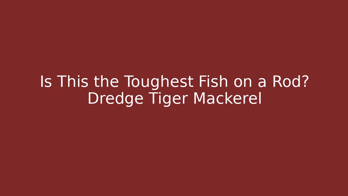 Is This the Toughest Fish on a Rod? Dredge Tiger Mackerel