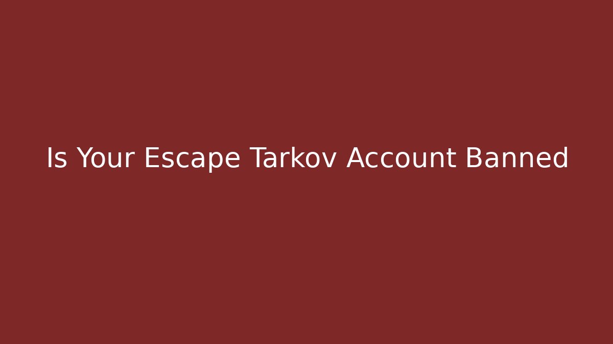 Is Your Escape Tarkov Account Banned