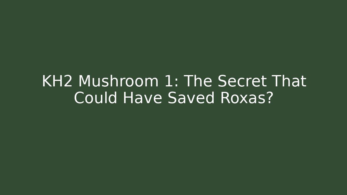 KH2 Mushroom 1: The Secret That Could Have Saved Roxas?