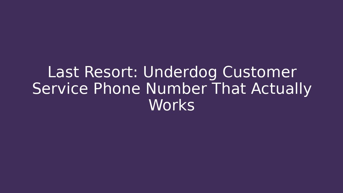 Last Resort: Underdog Customer Service Phone Number That Actually Works