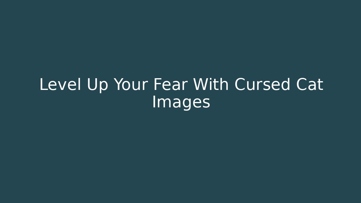 Level Up Your Fear With Cursed Cat Images - Create More Assets