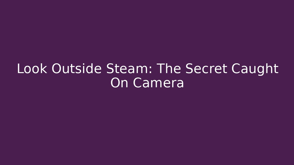 Look Outside Steam: The Secret Caught On Camera - Create More Assets