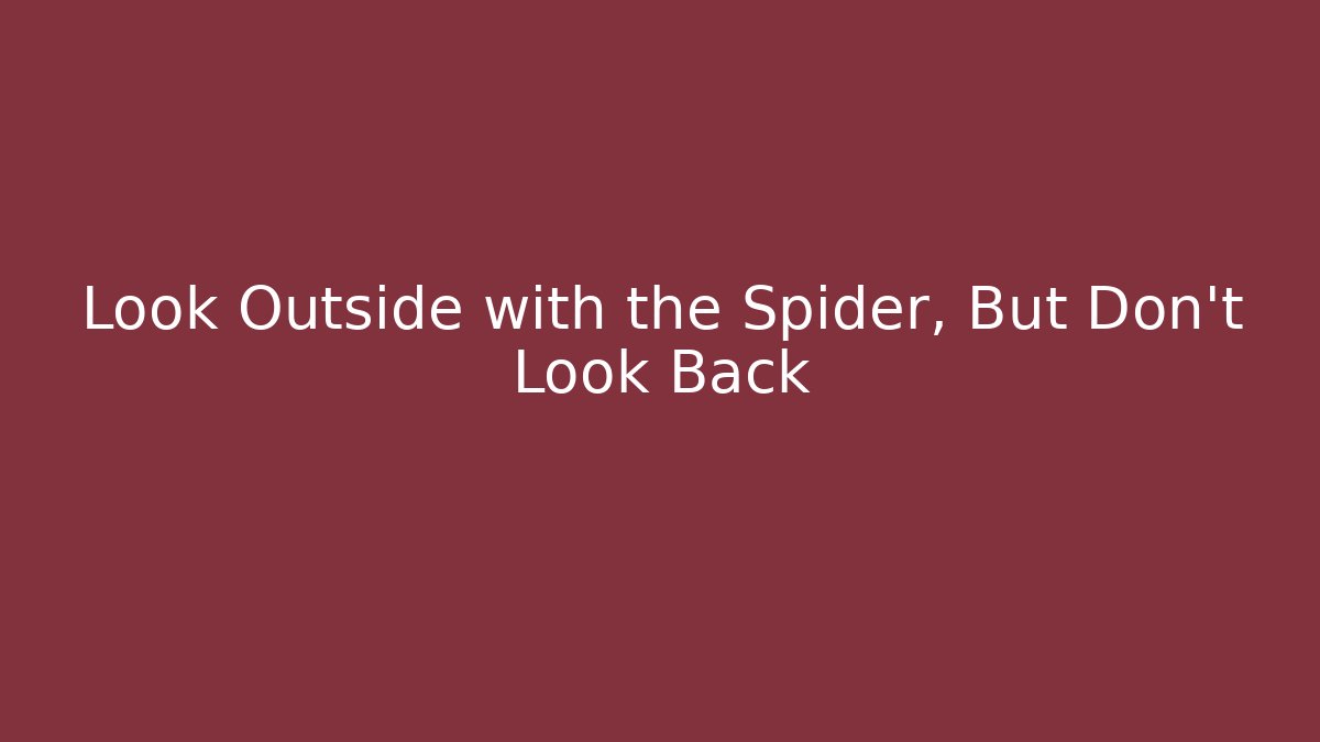 Look Outside with the Spider, But Don’t Look Back - Create More Assets