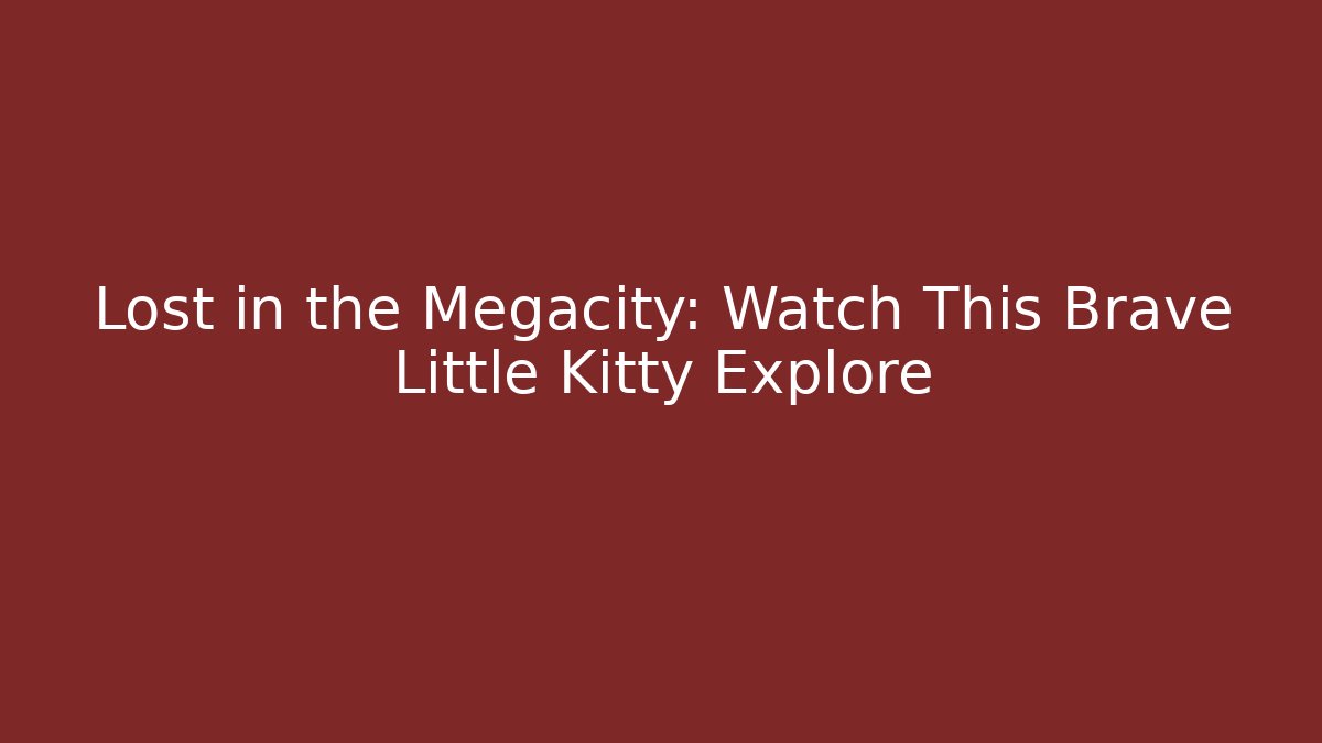 Lost in the Megacity: Watch This Brave Little Kitty Explore