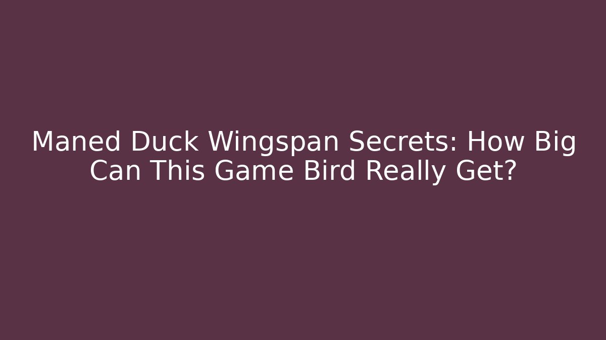 Maned Duck Wingspan Secrets: How Big Can This Game Bird Really Get?