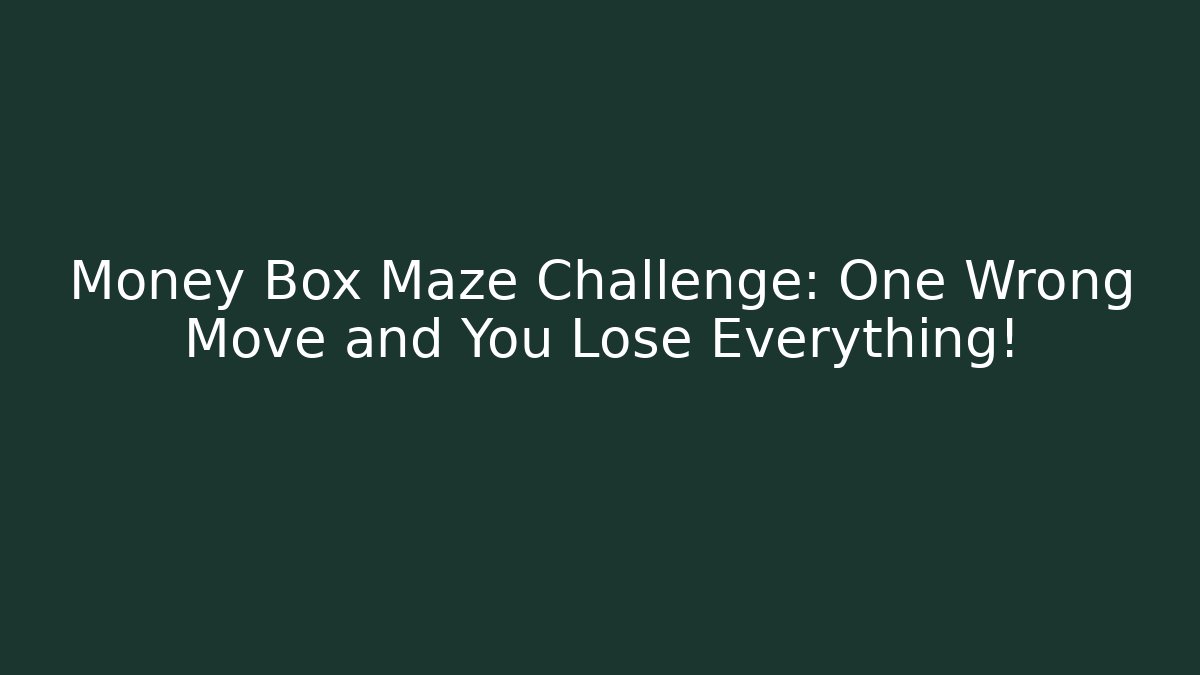 Money Box Maze Challenge: One Wrong Move and You Lose Everything!