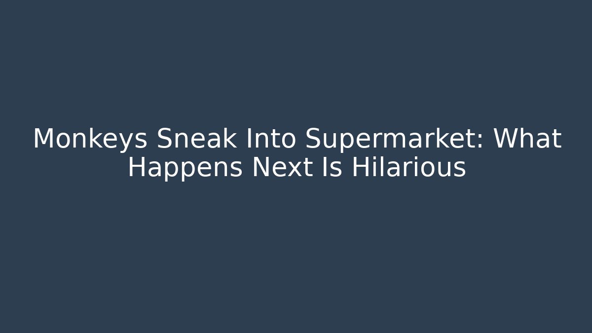 Monkeys Sneak Into Supermarket: What Happens Next Is Hilarious