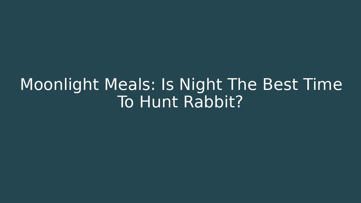 Moonlight Meals: Is Night The Best Time To Hunt Rabbit? - Create More Assets