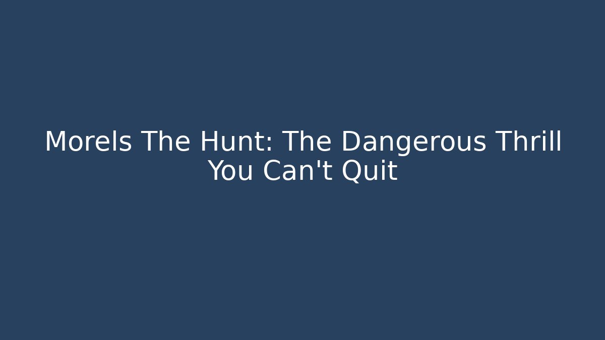 Morels The Hunt: The Dangerous Thrill You Can't Quit