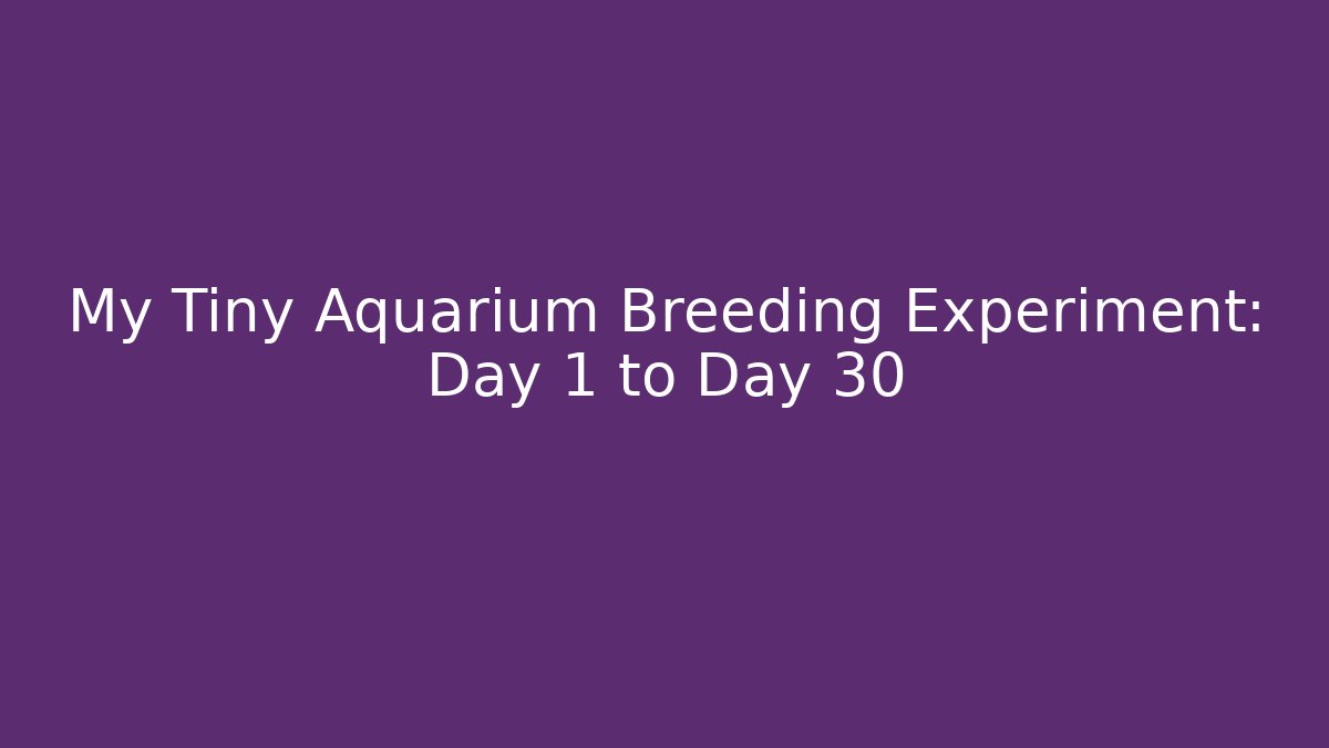My Tiny Aquarium Breeding Experiment: Day 1 to Day 30