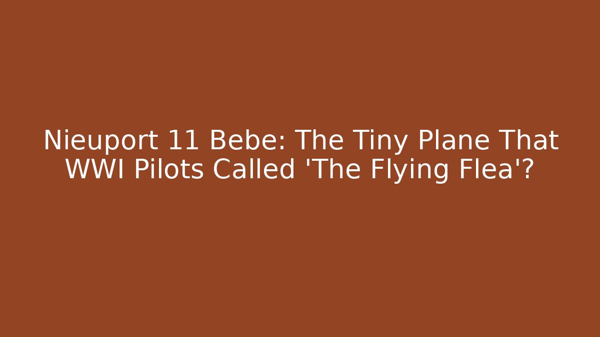 Nieuport 11 Bebe: The Tiny Plane That WWI Pilots Called 'The Flying Flea'?