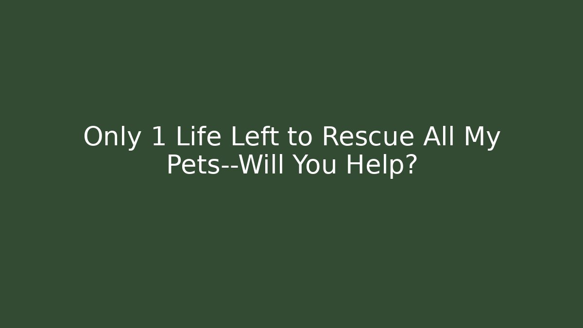 Only 1 Life Left to Rescue All My Pets—Will You Help?