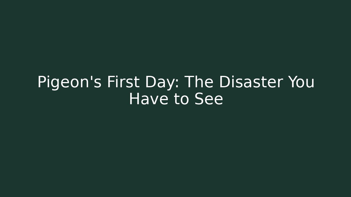 Pigeon's First Day: The Disaster You Have to See