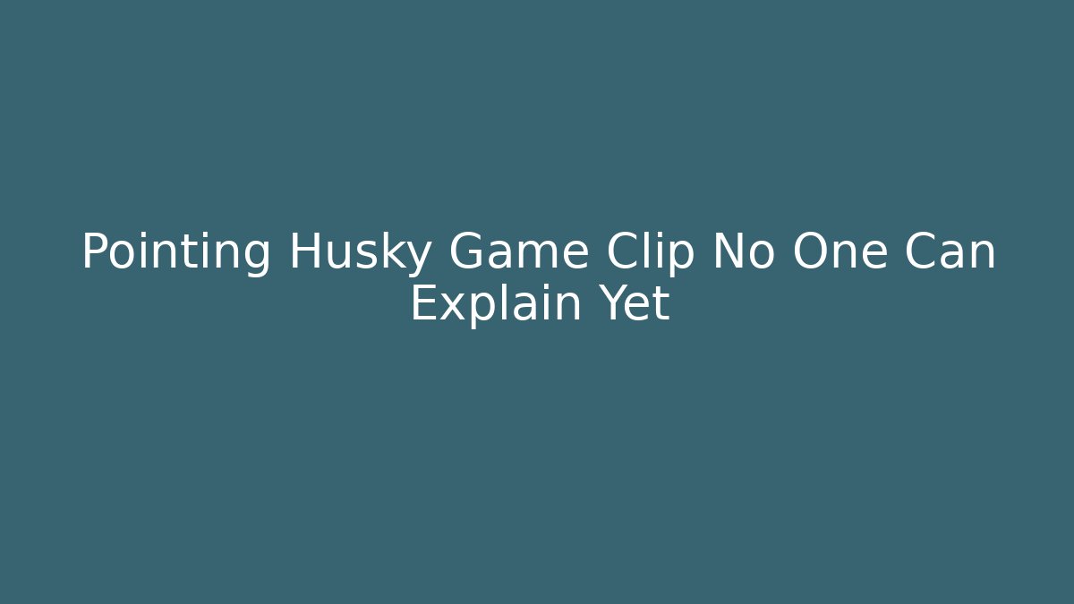 Pointing Husky Game Clip No One Can Explain Yet