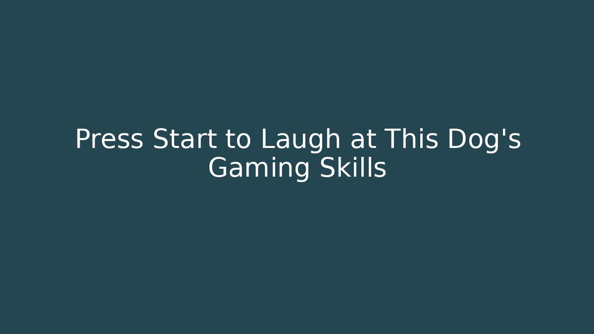 Press Start to Laugh at This Dog's Gaming Skills