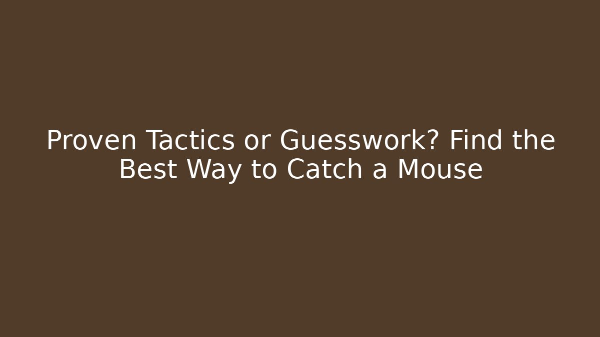 Proven Tactics or Guesswork? Find the Best Way to Catch a Mouse