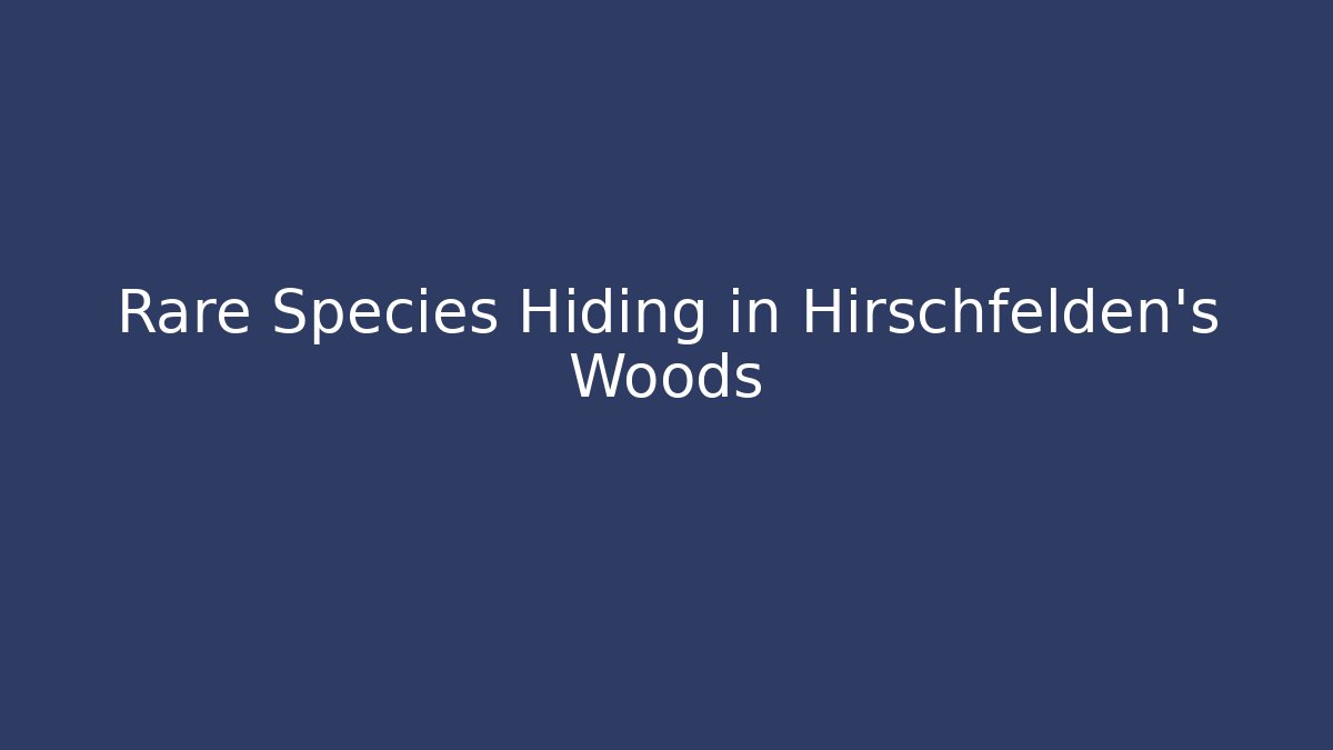 Rare Species Hiding in Hirschfelden's Woods