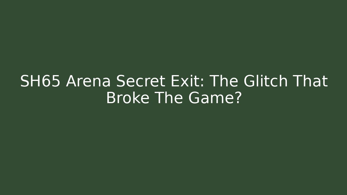 SH65 Arena Secret Exit: The Glitch That Broke The Game?