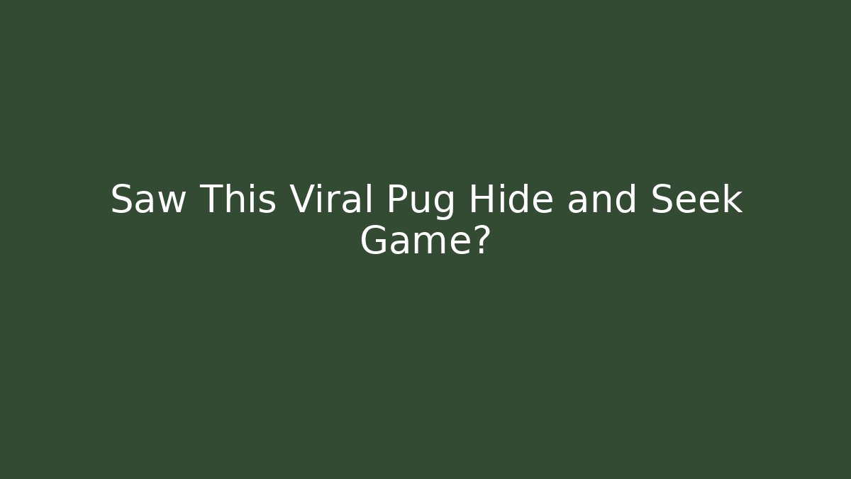 Saw This Viral Pug Hide and Seek Game?