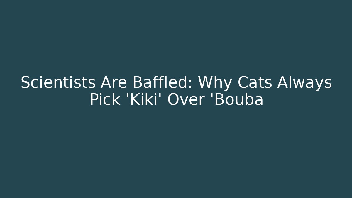 Scientists Are Baffled: Why Cats Always Pick 'Kiki' Over 'Bouba
