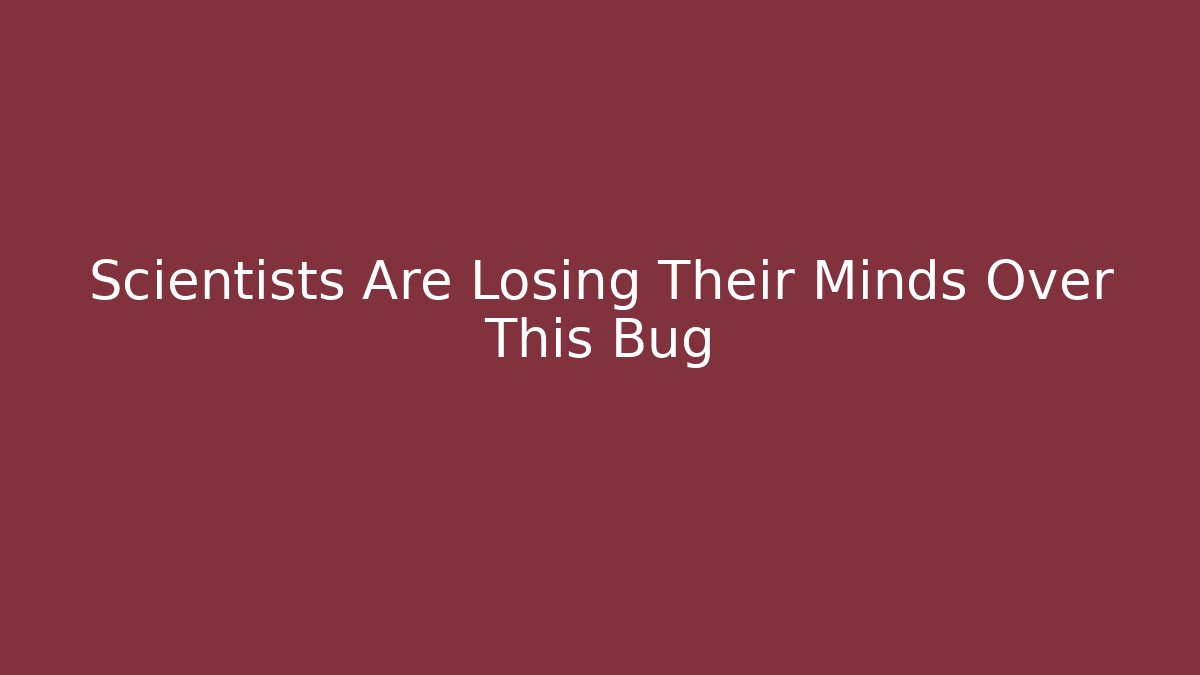 Scientists Are Losing Their Minds Over This Bug - Create More Assets