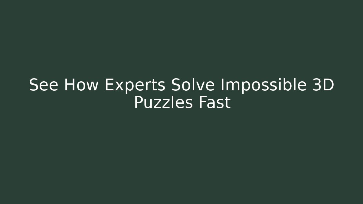 See How Experts Solve Impossible 3D Puzzles Fast