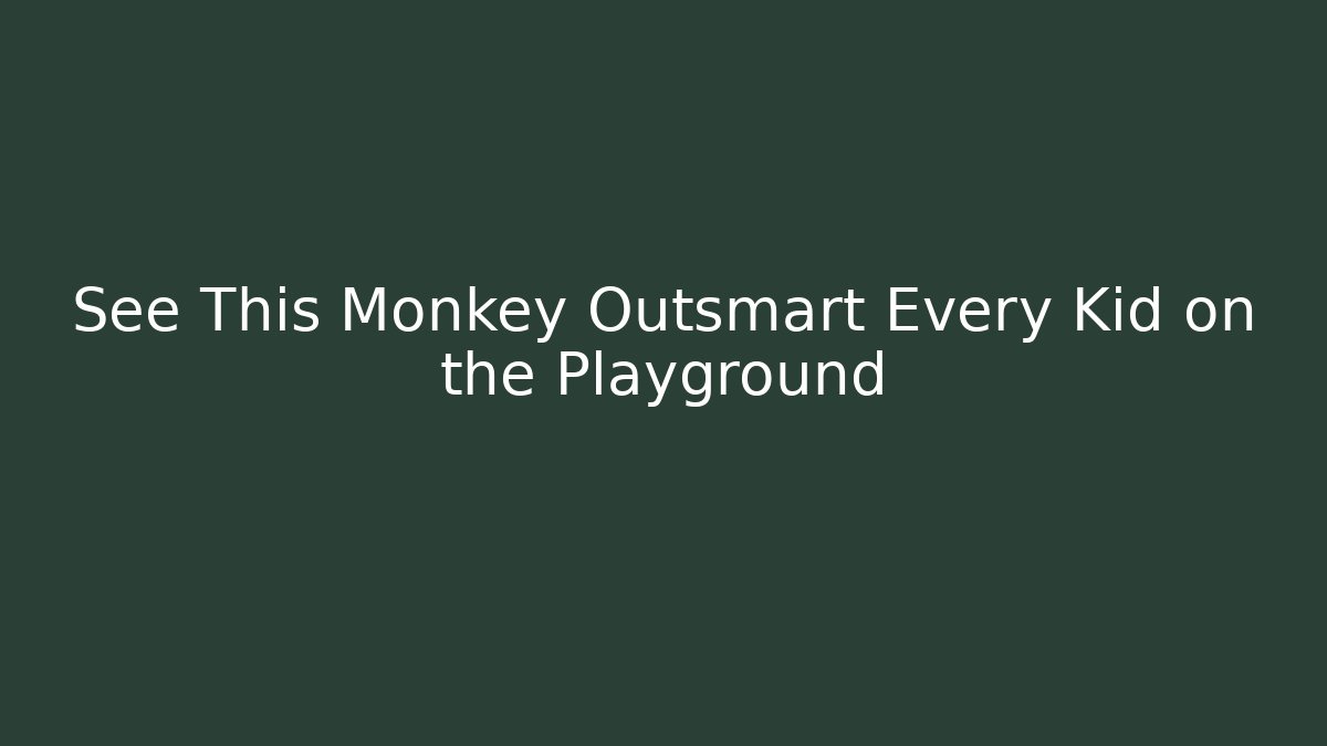 See This Monkey Outsmart Every Kid on the Playground