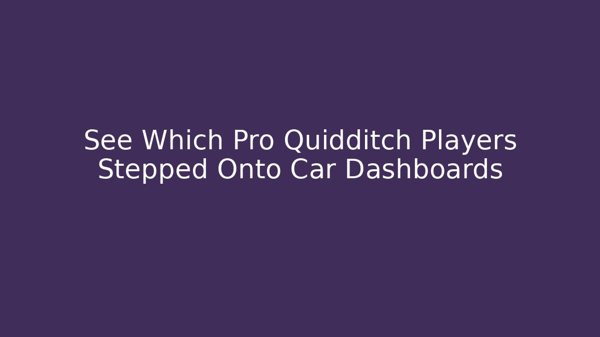 See Which Pro Quidditch Players Stepped Onto Car Dashboards